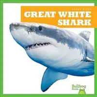 Grand requin blanc - Great White Shark