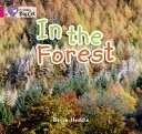 Dans la forêt - In the Forest