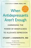 Quand les antidépresseurs ne suffisent pas : exploiter le pouvoir de la pleine conscience pour soulager la dépression - When Antidepressants Aren't Enough: Harnessing the Power of Mindfulness to Alleviate Depression