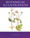 Illustration botanique - Botanical Illustration