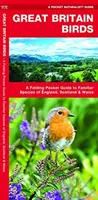 Oiseaux de Grande-Bretagne, 2e édition - Guide de poche pliable des espèces familières d'Angleterre, d'Écosse et du Pays de Galles - Great Britain Birds, 2nd Edition - A Folding Pocket Guide to Familiar Species of England, Scotland & Wales