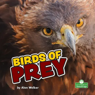 Oiseaux de proie - Birds of Prey