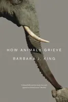 Le deuil des animaux - How Animals Grieve