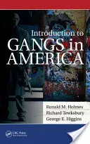 Introduction aux gangs en Amérique - Introduction to Gangs in America