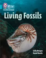 Fossiles vivants - Bande 07/Turquoise - Living Fossils - Band 07/Turquoise