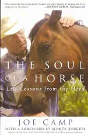 L'âme d'un cheval : Les leçons de vie du troupeau - The Soul of a Horse: Life Lessons from the Herd