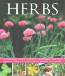 Herbes - Herbs