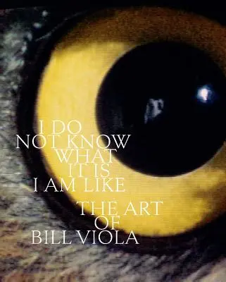 Je ne sais pas à quoi je ressemble : L'art de Bill Viola - I Do Not Know What It Is I Am Like: The Art of Bill Viola