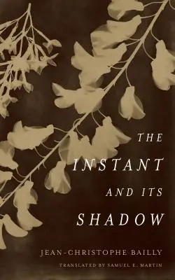 L'instant et son ombre : une histoire de la photographie - The Instant and Its Shadow: A Story of Photography