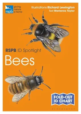 Rspb Id Spotlight - Abeilles - Rspb Id Spotlight - Bees