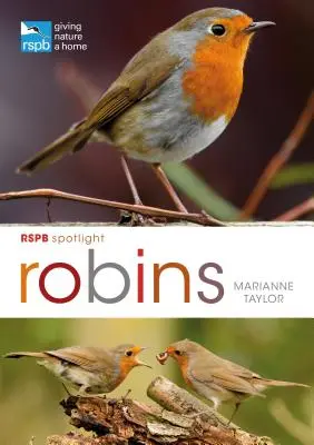 Rspb Spotlight : Les merles - Rspb Spotlight: Robins