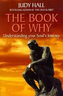 Le livre du pourquoi - The Book of Why