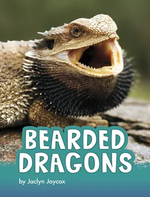 Dragons barbus - Bearded Dragons