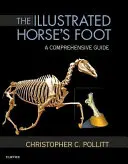 Le pied du cheval illustré : Un guide complet - The Illustrated Horse's Foot: A Comprehensive Guide