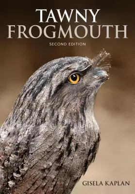 La bouche de grenouille fauve - Tawny Frogmouth