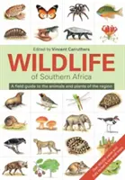 La faune d'Afrique australe : Un guide de terrain pour les animaux et les plantes de la région - Wildlife of Southern Africa: A Field Guide to the Animals and Plants of the Region