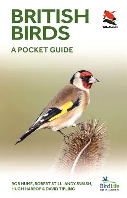 Les oiseaux britanniques : Un guide de poche - British Birds: A Pocket Guide