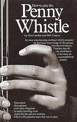 Comment jouer du Penny Whistle - How to Play the Penny Whistle