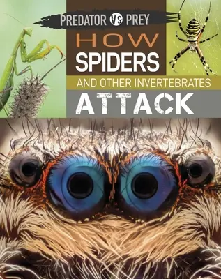 Prédateurs et proies : comment les araignées et autres invertébrés attaquent - Predator vs Prey: How Spiders and other Invertebrates Attack