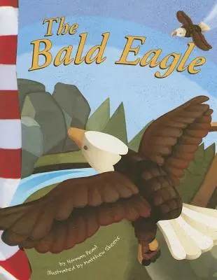 L'aigle chauve - The Bald Eagle