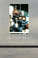 Sur la voie du développement - In the Way of Development