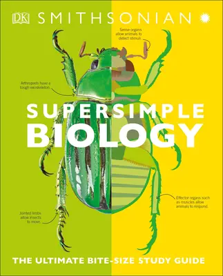 Biologie super simple : L'ultime guide d'étude à la portée de tous - Super Simple Biology: The Ultimate Bitesize Study Guide