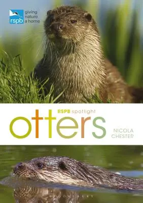 Rspb Spotlight : Les loutres - Rspb Spotlight: Otters