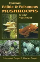 Champignons communs comestibles et vénéneux du Nord-Est - Common Edible & Poisonous Mushrooms of the Northeast