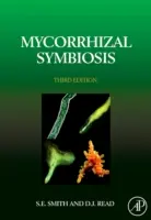 Symbiose mycorhizienne - Mycorrhizal Symbiosis