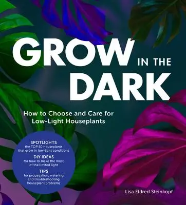 Cultiver dans l'obscurité : comment choisir et entretenir les plantes d'intérieur à faible luminosité - Grow in the Dark: How to Choose and Care for Low-Light Houseplants