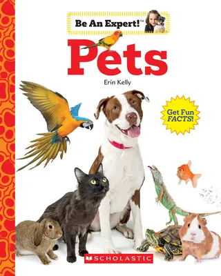 Animaux de compagnie (soyez un expert !) - Pets (Be an Expert!)