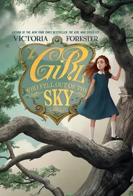 La fille qui est tombée du ciel - The Girl Who Fell Out of the Sky