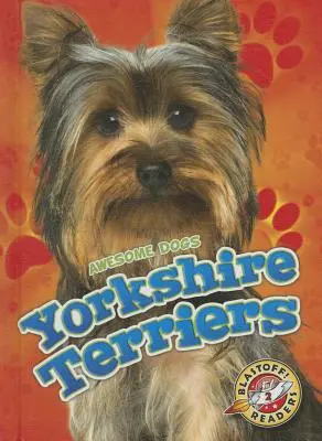 Terriers du Yorkshire - Yorkshire Terriers