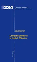 Modèles concurrents dans l'affixation de l'anglais - Competing Patterns in English Affixation