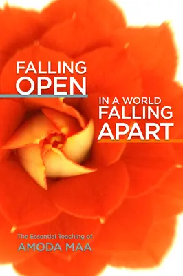 S'ouvrir dans un monde qui s'écroule : L'enseignement essentiel d'Amoda Maa - Falling Open in a World Falling Apart: The Essential Teaching of Amoda Maa