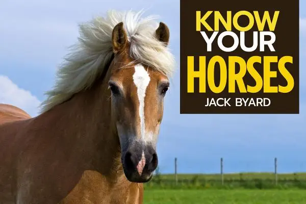 Connaître les chevaux - Know Your Horses