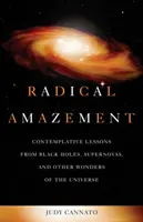 Radical Amazement : Leçons contemplatives tirées des trous noirs, des supernovas et autres merveilles de l'univers - Radical Amazement: Contemplative Lessons from Black Holes, Supernovas, and Other Wonders of the Universe