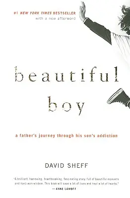 Beautiful Boy : Le voyage d'un père à travers l'addiction de son fils - Beautiful Boy: A Father's Journey Through His Son's Addiction