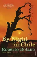 La nuit au Chili - By Night in Chile