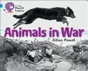 Les animaux dans la guerre - Animals in War