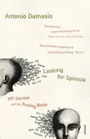 À la recherche de Spinoza - Joie, chagrin et cerveau sensible - Looking For Spinoza - Joy, Sorrow and the Feeling Brain