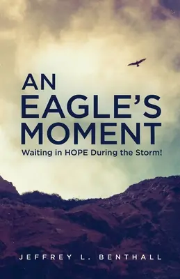 Un moment d'aigle : Attendre dans l'ESPOIR pendant la tempête ! - An Eagle's Moment: Waiting in HOPE During the Storm!