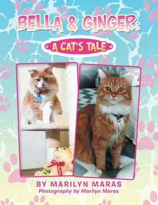 Bella & Ginger : l'histoire d'un chat - Bella & Ginger: a Cat's Tale
