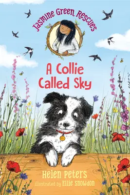 Jasmine Green Rescues : Un colley appelé Sky - Jasmine Green Rescues: A Collie Called Sky