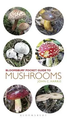 Guide de poche des champignons - Pocket Guide to Mushrooms