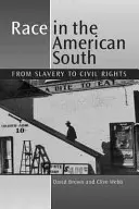 La race dans le Sud américain - De l'esclavage aux droits civiques - Race in the American South - From Slavery to Civil Rights