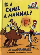 Le chameau est-il un mammifère ? - Is a Camel a Mammal?