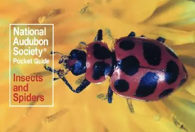 Guide de poche de la National Audubon Society : Insectes et araignées - National Audubon Society Pocket Guide: Insects and Spiders