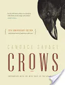 Les corbeaux : Rencontres avec les sages du monde aviaire {édition du 10e anniversaire} - Crows: Encounters with the Wise Guys of the Avian World {10th Anniversary Edition}