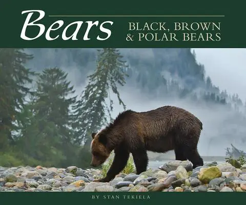 Ours : Ours noirs, bruns et polaires - Bears: Black, Brown & Polar Bears